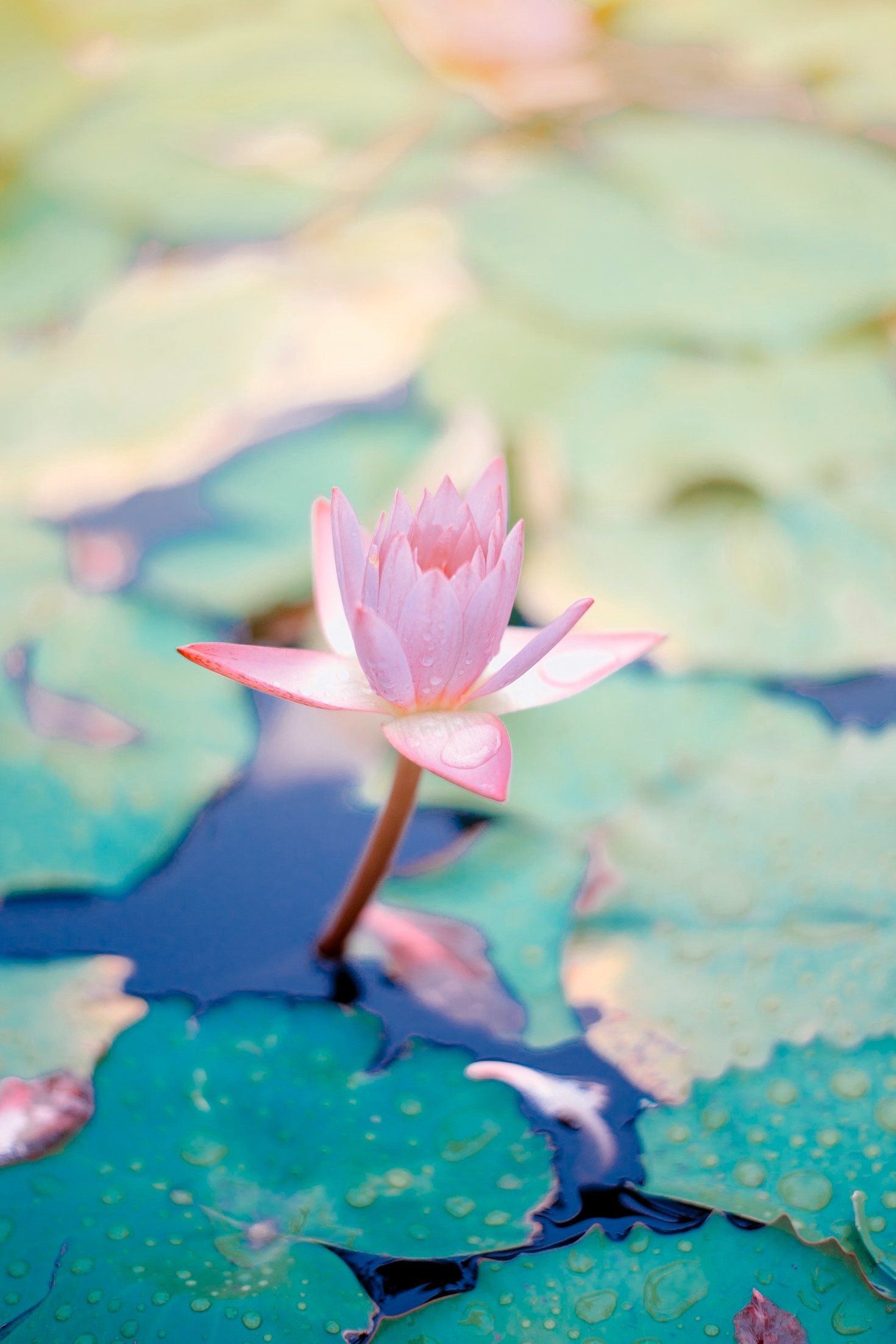 Unlocking Strength Through Mindful Exploration