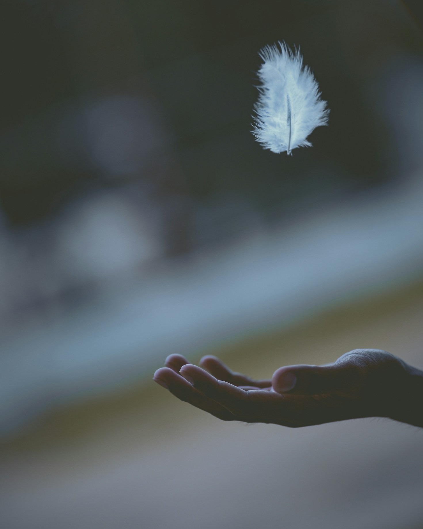 Discovering Clarity Through Authentic Living